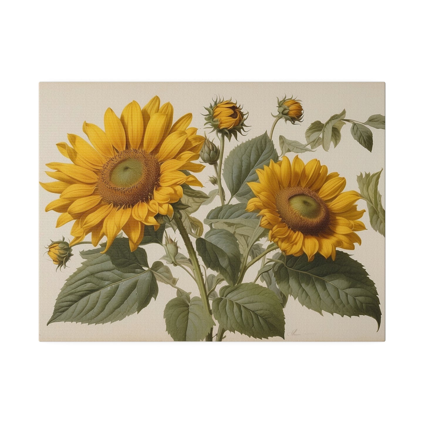 Sunflowers Matte Canvas