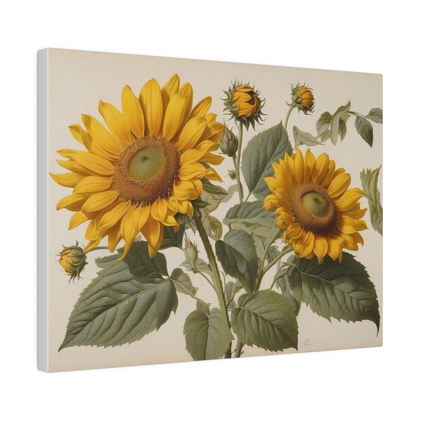 Sunflowers Matte Canvas