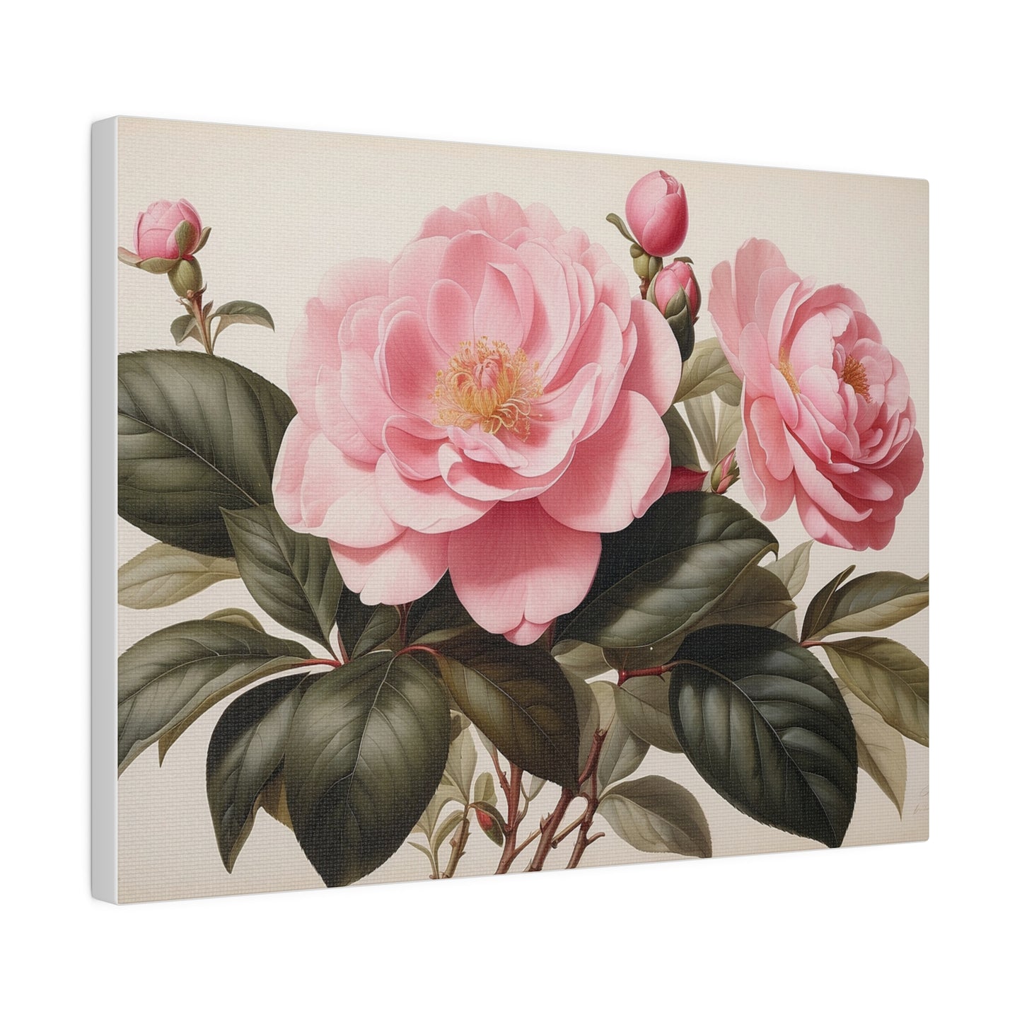 Pink Camellias Matte Canvas