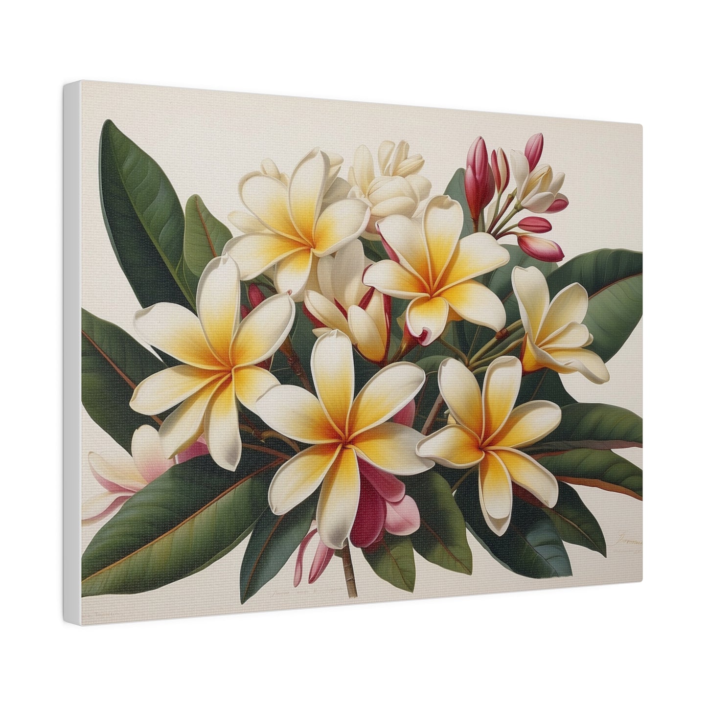 Tropical Frangipanis Matte Canvas